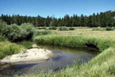 creek image
